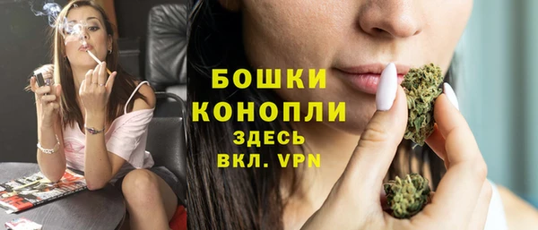 ПСИЛОЦИБИНОВЫЕ ГРИБЫ Абдулино