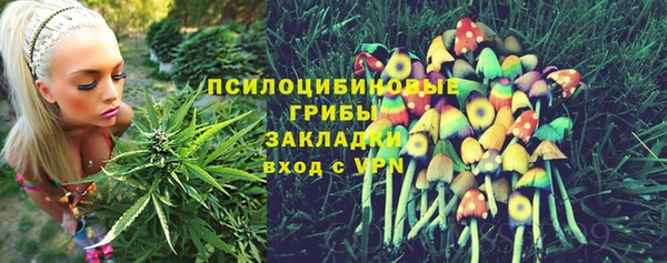 СК Покров