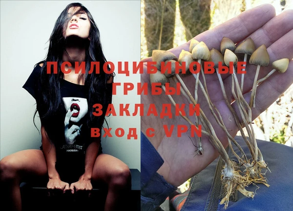 ПСИЛОЦИБИНОВЫЕ ГРИБЫ Абдулино
