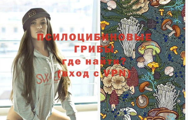 спиды Абинск