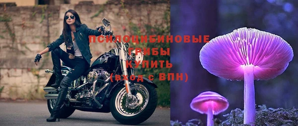 спиды Абинск