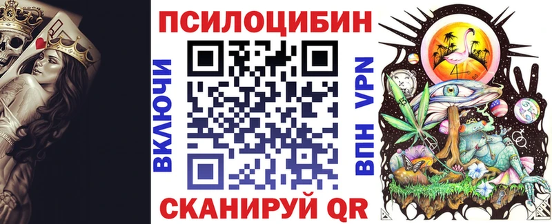 Псилоцибиновые грибы Cubensis  где продают   mega ссылка  Костерёво 